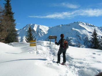 Residence Le Petit Coeur - Snow shoeing  Col de Bard