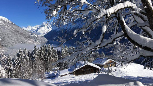 Offer snow holidays at Le Petit Coeur